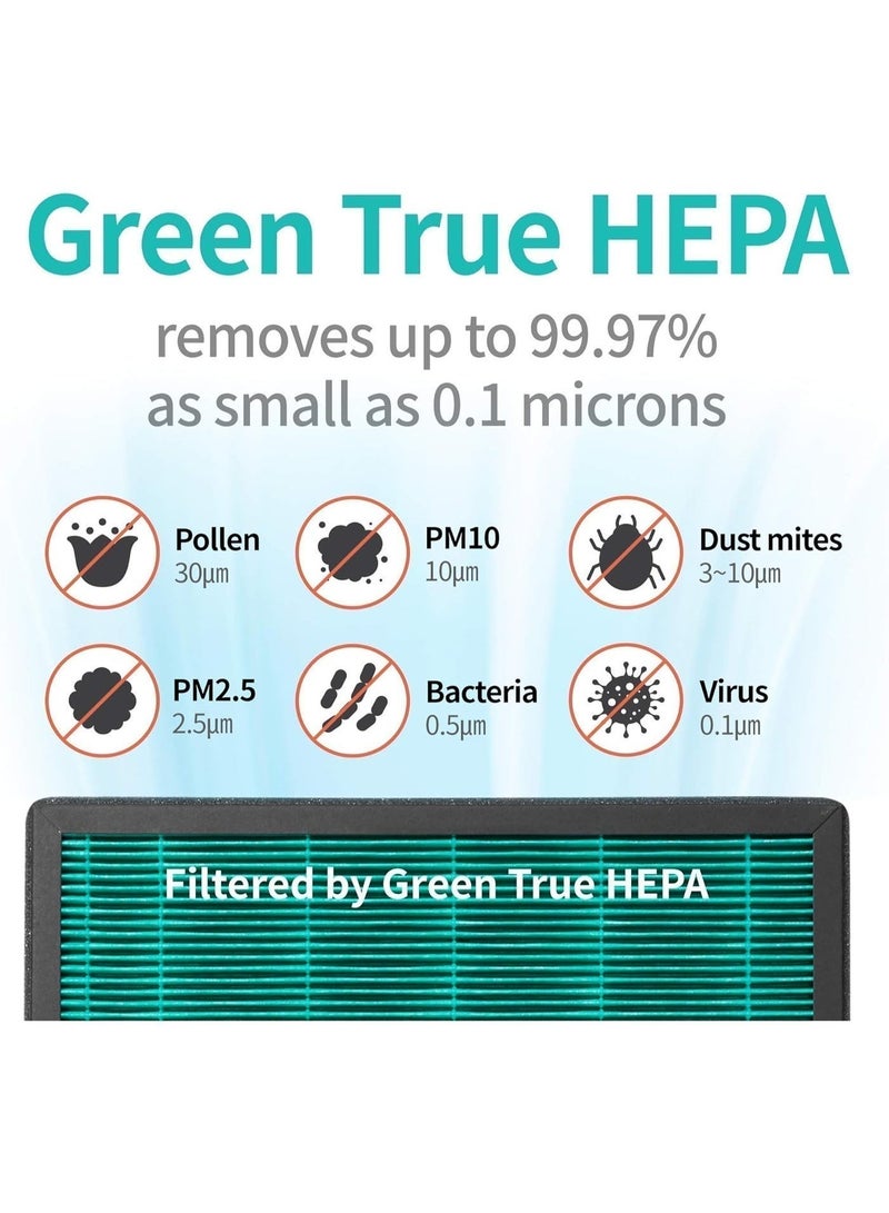 كواي منقّي هواء AM-150 للغرف الكبيرة حتى 1,035 قدم² | فلتر GreenHEPA طويل العمر ‏3-في-1 | مراقبة جودة الهواء | وضع تلقائي | يزيل ‎99.99%‎ من الغبار ووبر الحيوانات والروائح ومسببات الحساسية | وضع النوم الهادئ 20 ديسيبل | ضمان سنتين | أخضر - Image 3